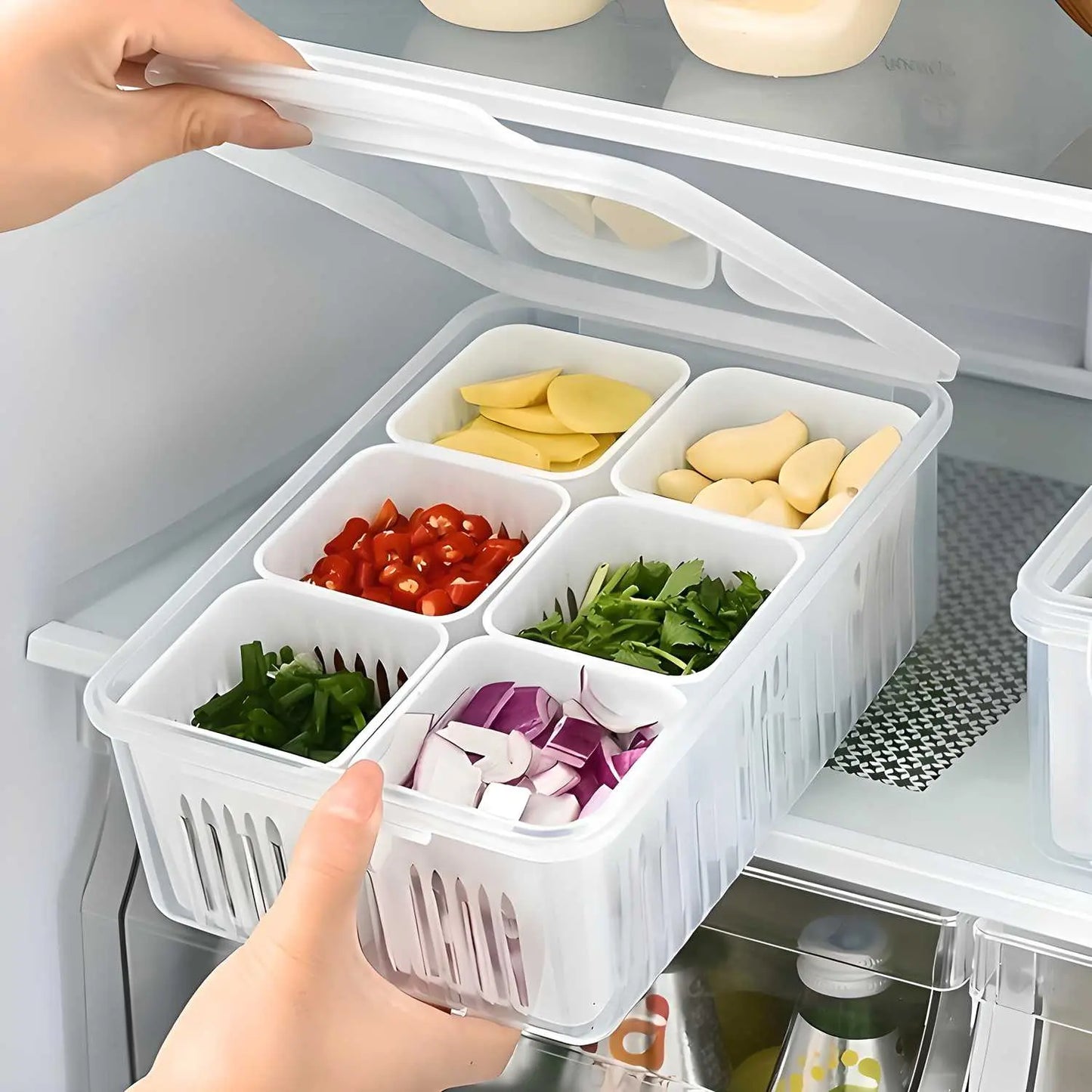 6 Grid Fridge Food Storage Container